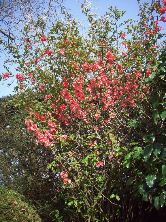 Xhoris B&B La Buissonniere المظهر الخارجي الصورة